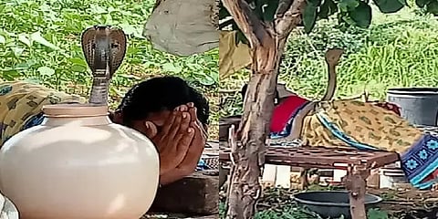 உடலின் மீதேறி ஒய்யாரமாக படமெடுத்து நின்ற நாகப்பாம்பு..அசையாமல் கட்டிலில் படுத்திருந்த பெண்