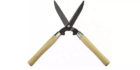 இன்னும் சில தினங்களில் திருமணம்.. சிறிய வாக்குவாதத்தில் மகளை தாக்கிய தந்தை.. பறிபோன உயிர்!