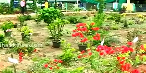 கோவை: தனியார் நிறுவன உதவியுடன் ஆக்சிஜன் பூங்காவாக மாறியுள்ள குப்பைக் கூடம்