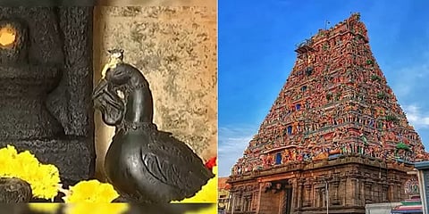 கபாலீஸ்வரர் கோவில் மயில் சிலை அலகில் இருந்தது மலரா? பாம்பா? ஆய்வு செய்ய குழு அமைப்பு