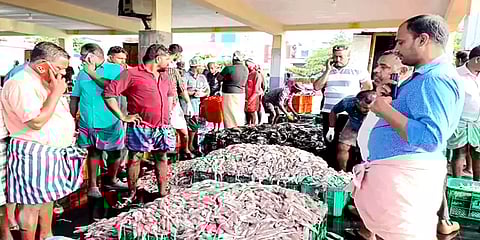 கொத்துக் கொத்தாக சிக்கிய கணவாய் மீன்கள் - போட்டி போட்டு வாங்கிச் சென்றதால் விலை அதிகம்