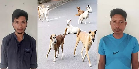 கோவை: நாயை அடித்துக்கொன்று வீடியோ வெளியிட்ட இருவர் மீது வழக்குப்பதிவு