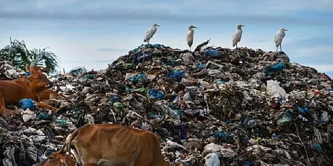 ’கழிவுகளை முறையாக கையாளவில்லை’ - மே.வங்க அரசுக்கு ரூ.3500 கோடி அபராதம் விதித்த தீர்ப்பாயம்