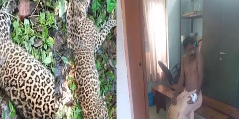 சிறுத்தையை குத்திக்கொன்ற பழங்குடி மனிதர்- வழக்கு இல்லை; ஏன் தெரியுமா?