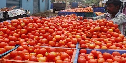 கோயம்பேடு சந்தையில் அரைசதம் அடித்த தக்காளி விலை! விலை உயர்வுக்கு இதான் காரணம்!