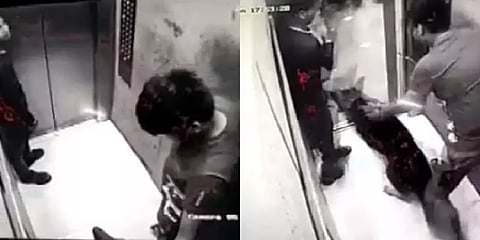 லிஃப்ட்டில் தொடரும் வளர்ப்பு நாய்களின் அட்டகாசம்.. அப்போ காசியாபாத், இப்போ நொய்டா!