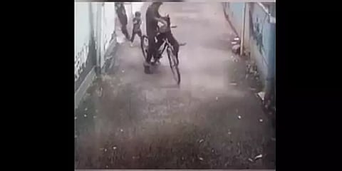 சைக்கிளில் ஜாலியாக சுற்றிய சிறுவனை கடித்து குதறிய நாய்.! - கேரளாவில் பயங்கரம்