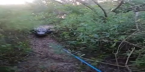 ’என்னையா சீண்டுற!’.. தூண்டில் போட்டு மீன் பிடித்தவரை துரத்தி துரத்தி ஓடவிட்ட முதலை!