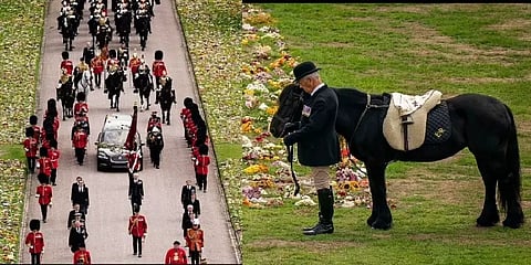 ராணியின் கடைசி நேரத்தை காண ஓடோடி வந்த எலிசபெத்தின் ஆஸ்தான குதிரை: கலங்க வைக்கும் காட்சி!