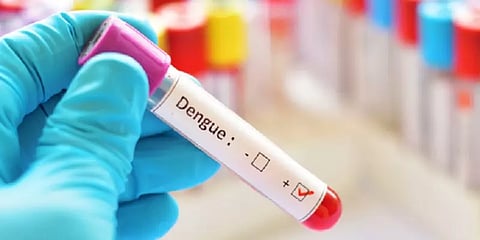 வட மாநிலங்களில் அதிகரிக்கும் டெங்கு - ஏன் பரவுகிறது? பாதுகாப்பாக இருப்பது எப்படி?