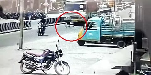 குறுக்கே வந்த தெருநாயால் தடுமாறி விழுந்த மேலாளர் - தலைமேல் ஏறிச்சென்ற அரசுப்பேருந்து