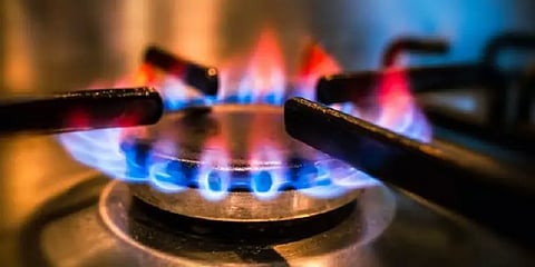 கேஸ் அடுப்பு உடல்நலத்திற்கு கேடு விளைவிக்கிறதா? - நிபுணர்கள் எச்சரிப்பது என்ன?