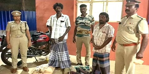 உடும்பு வேட்டை: திருச்சிக்கு கடத்த முயன்ற 29 உடும்புகள் உயிருடன் மீட்பு - இருவர் கைது