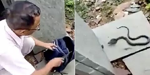 ”சார் என் புத்தகப் பையில் ஏதோ நெளியுது!!”.. திறந்து பார்த்து அதிர்ந்து போன ஆசிரியர்!