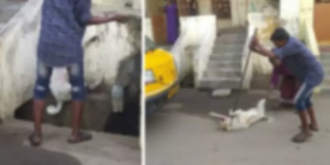 நாயை கொடூரமாக அடித்து துன்புறுத்தி பிடிப்பதா? - வைரல் வீடியோ உண்மையா? அதிகாரிகள் விளக்கம்