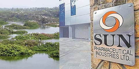 சான்று பெறாமல் மருந்து ஆலை விரிவாக்க பணி- சன் பார்மா நிறுவனத்துக்கு ரூ.10 கோடி அபராதம்!
