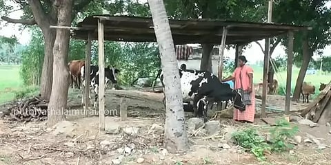 குறைந்த விலைக்கு பாலை பெற்று ஆவினில் விலையேற்றி விற்பது வருத்தமளிக்கிறது- உற்பத்தியாளர்கள்