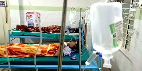 தனியார் பள்ளி மாணவர்களை துரத்தி துரத்தி கொட்டிய மலைத் தேனீக்கள் - 60 பேர் காயம்