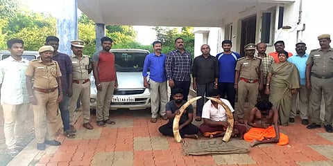 சிவகங்கை யானை தந்தத்தை கடத்தி விற்க முயற்சி – 3 பேர் கைது