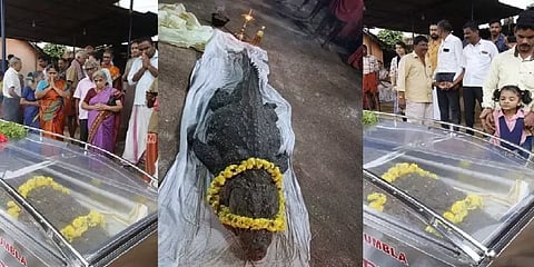 கோவில் பிரசாதம்தான் முழுநேர உணவு... உயிரிழந்தது கேரளாவின் சைவ முதலை!