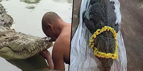 கேரளா: கோவில் பிரசாதத்தை மட்டும் உண்டு உயிர்வாழ்ந்த புகழ்பெற்ற “சைவ” முதலை காலமானது