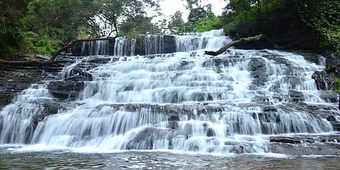 கொடைக்கானல் தொடர் கனமழையால் ஆர்ப்பரித்துக் கொட்டும் அருவிகள்! கண்கவர் புகைப்படங்கள்