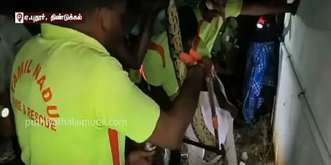 இரை உண்ட மயக்கம்! நள்ளிரவில் வீட்டிற்குள் ஹாயாக படுத்துக்கிடந்த 12 அடி நீள மலைப்பாம்பு!