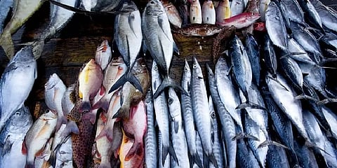 புரட்டாசி கடைசி வாரம்: துறைமுகத்தில் மீன் வாங்க குவிந்த மக்கள்! விலையால் ஏமாற்றம்