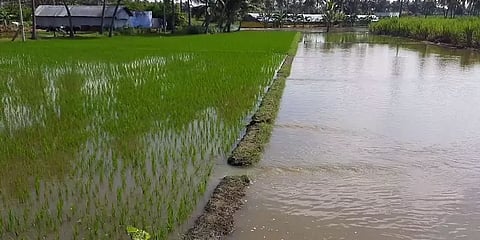 ஏரியின் நீர்வழிப்பாதை ஆக்கிரமிப்பு! உபரிநீர் வெளியேறி வயல்களில் பாய்வதால் விவசாயிகள் அவதி!