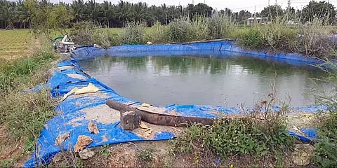 விவசாயத்திற்காக தோண்டிய குட்டையில் விழுந்த 9 வயது மகன்- காப்பாற்ற சென்ற தாயும் பலி