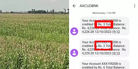 பயிர் சேதத்தால் திணறும் கடலூர் விவசாயிகள்: 2 ரூபாய் இழப்பீடு வழங்கப்பட்டதால் பேரதிர்ச்சி
