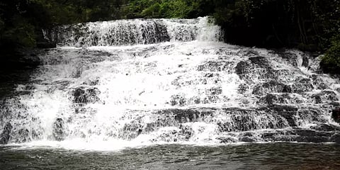 ஆர்ப்பரித்துக் கொட்டும் பாம்பாறு அருவி... ஆபத்தான முறையில் மக்கள் நடமாட்டம்!