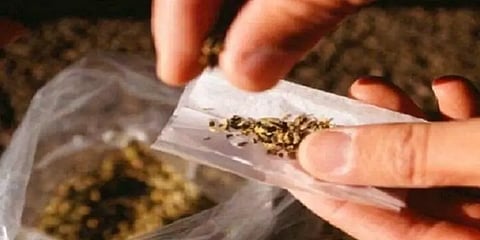 கஞ்சா கடத்தலில் ஈடுபட்ட ரயில்வே ஊழியர்கள் - கையும் களவுமாக பிடித்த குற்றப்பிரிவு போலீசார்