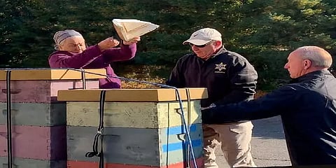 கைது செய்ய வந்த போலீஸ் மீது தேனீக்களை ஏவிய அமெரிக்க பெண்மணி.. ஏன் தெரியுமா?