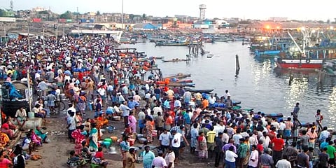 வரத்து அதிகரிப்பால் மீன் விலை சரிவு - காசிமேட்டில் குவிந்த மக்கள்