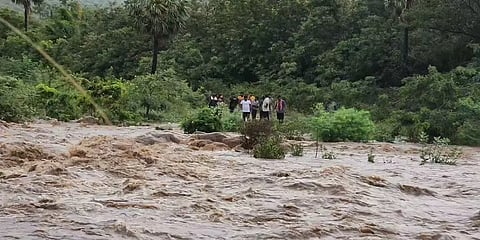 நெல்லை: தோப்பு ஓடையில் திடீர் வெள்ளப்பெருக்கு - 43 பேர் பத்திரமாக மீட்பு; 2 பேர் மாயம்