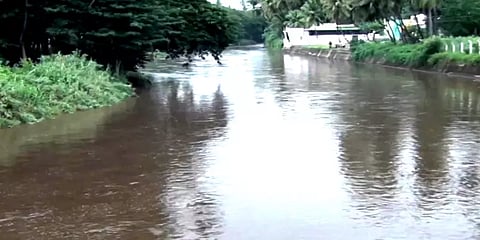 தேனி: மேற்கு தொடர்ச்சி மலையில் பெய்யும் கனமழை – வராக நதி ஆற்றில் வெள்ளப் பெருக்கு