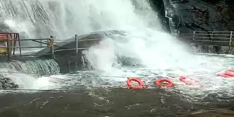 விடிய விடிய பெய்த கனமழை: குற்றால அருவிகளில் வெள்ளப் பெருக்கு – குளிக்கத் தடை