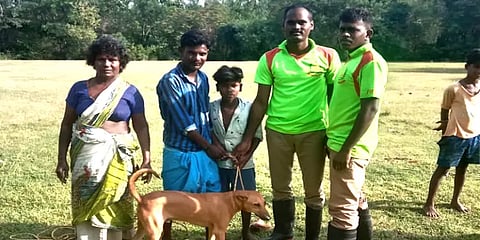 60அடி ஆழ கிணற்றில் தவறிவிழுந்த நாய்... துணிச்சலாக களமிறங்கிய தீயணைப்பு வீரர்கள்! #Video