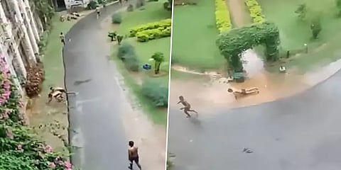 பரபரப்பை ஏற்படுத்திய சிஎம்சி மருத்துவ கல்லூரியில் ரேகிங் வீடியோ! மாணவர்கள் மீது நடவடிக்கை