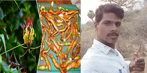 ’இதை சாப்பிடுங்க உடலுக்கு நல்லது’-சமூகவலைதள தகவலை பார்த்துசாப்பிட்ட இளைஞருக்கு நடந்த சோகம்