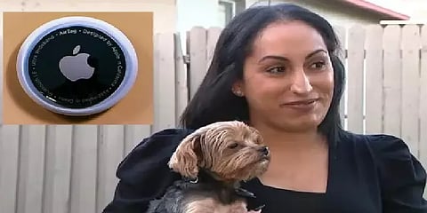 ஆப்பிள் airtag-ஆல் ஒன்றிணைந்த வளர்ப்பு நாயும் உரிமையாளரும்: ஃபுளோரிடாவில் நடந்த நெகிழ்ச்சி