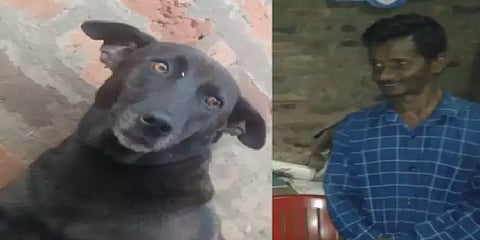 நடுக்காட்டில் தொலைந்த உரிமையாளர்: தக்க சமயத்தில் வழிகாட்டி உயிரை காப்பாற்றிய வளர்ப்பு நாய்