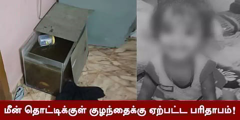 சென்னை: மீன் தொட்டிக்குள் விழுந்த பொம்மை... எடுக்க முயன்ற குழந்தைக்கு ஏற்பட்ட பரிதாபம்!