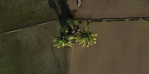 இன்றே கடைசி நாள்.. பயிர் காப்பீடு செய்ய பல இடங்களில் காத்திருக்கும் விவசாயிகள்!