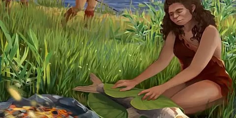 7 லட்ச ஆண்டுகளுக்கு முன்பே மனிதர்கள் மீன் சமைத்தார்களா? ஆய்வு கூறும் செய்தி என்ன?