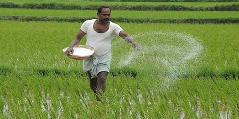 தமிழ்நாடு, ராஜஸ்தானின் சில பகுதிகளில் உரத் தட்டுப்பாடு? - மத்திய அமைச்சகம் விளக்கம்!