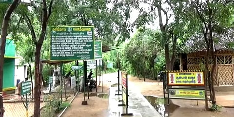 பக்தர்களின் பாதுகாப்பு கருதி சதுரகிரி மலைக்குச் செல்ல தடை – வனத்துறை அறிவிப்பு