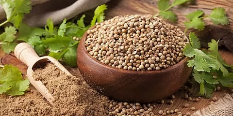 தைராய்டை கட்டுப்படுத்தும் கொத்தமல்லி - நன்மைகளும், பயன்படுத்தும் முறைகளும்