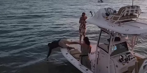 `100% உண்மை...’ டைட்டானிக் பாணியில Propose பண்ணப் போய் கடைசியில் கடலில் குதித்த நபர்!